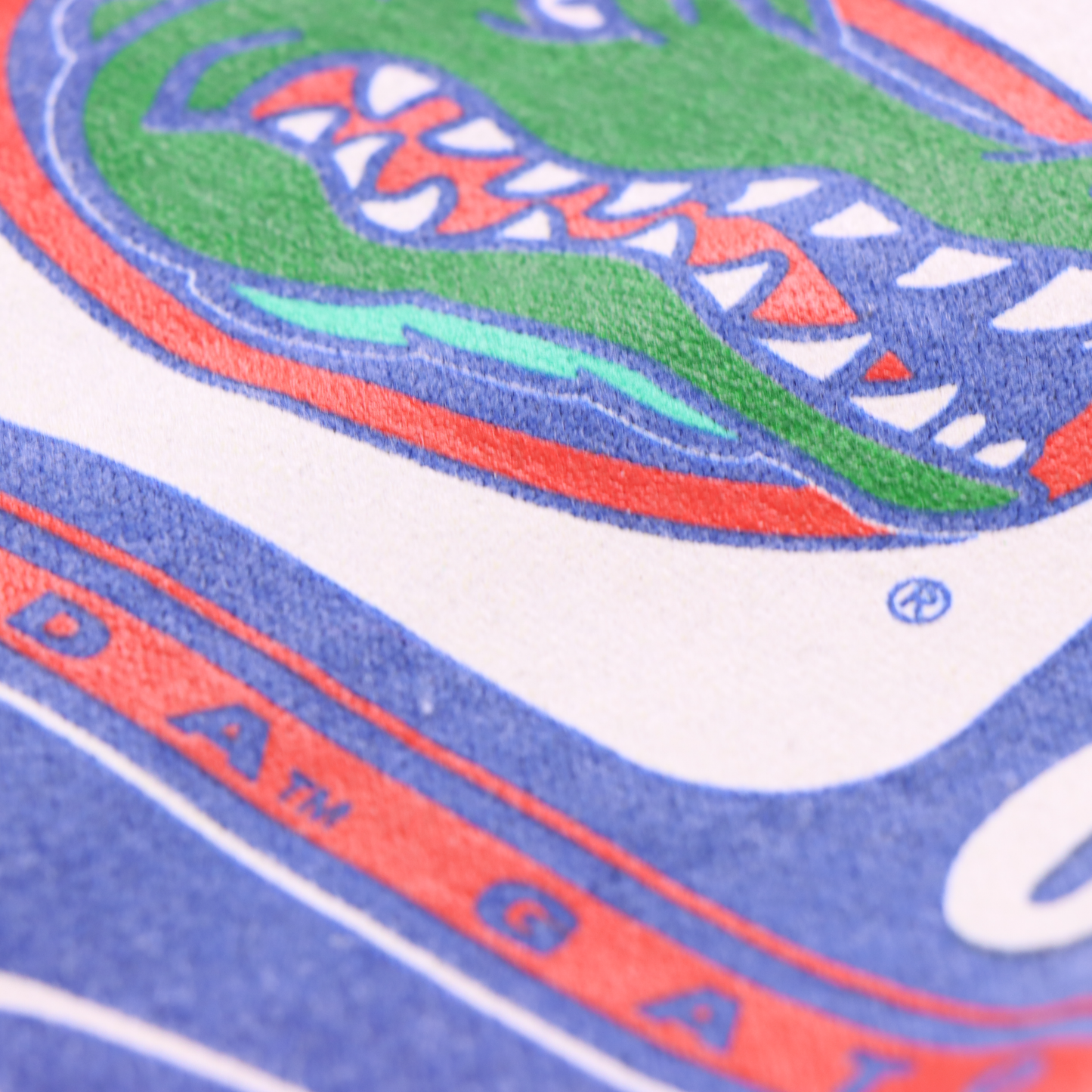 2006 NIKE Florida Gators NCAA Basketball Hoodie Sweatshirt (L)