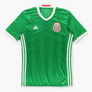 ADIDAS Mexico National Signed Green & White Soccer Jersey (S)