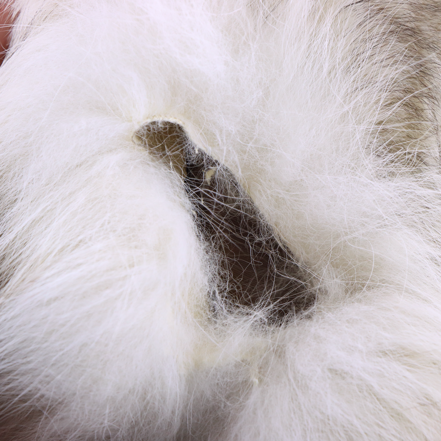 EDWARD GLASSER CHICAGO Vintage Real Fox Fur Clasp Close Long Coat (M)