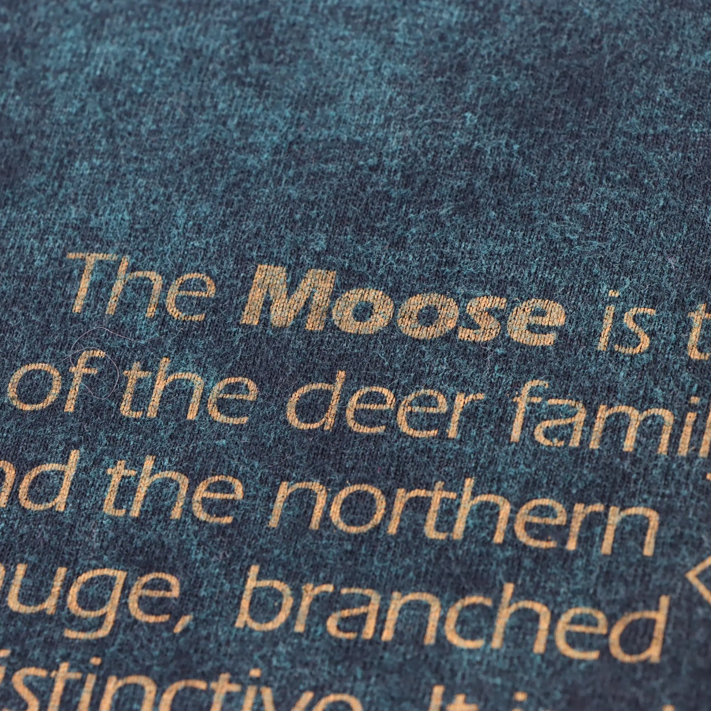 Michigan National Park Moose Embroidered USA Made Acid Wash Tee (S-M) Vintage Sole Melbourne