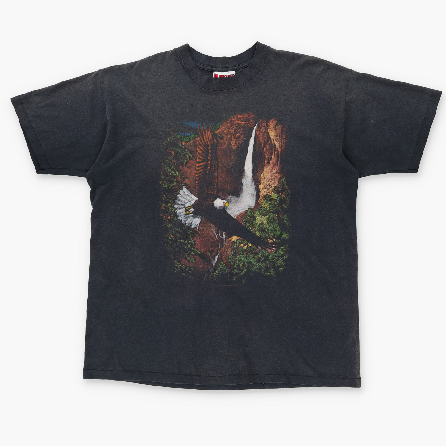 1991 Bald Eagle Waterfall USA Made Graphic Tee (XL)