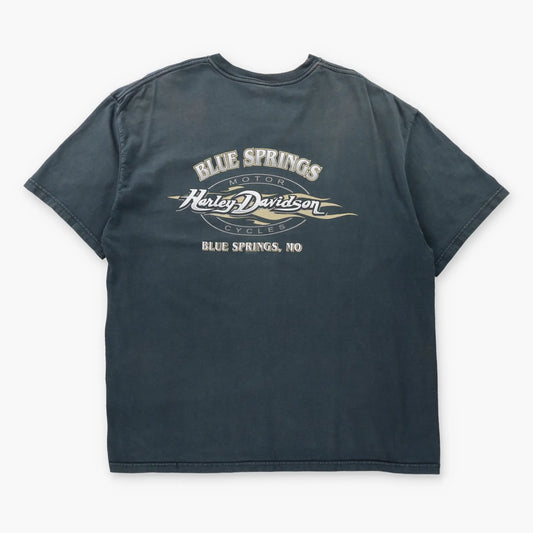 Vintage HARLEY DAVIDSON "Follow No One" Blue Springs Missouri USA Made Tee (XL)