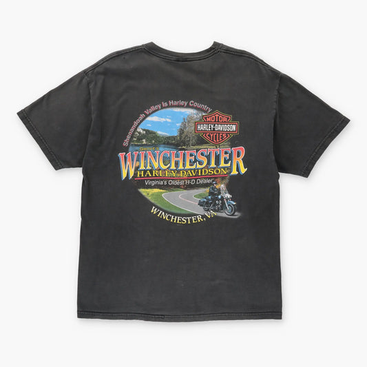 HARLEY DAVIDSON Y2K Dragon Fire Faded Motorcycle T-Shirt (L) - Vintage Sole Melbourne