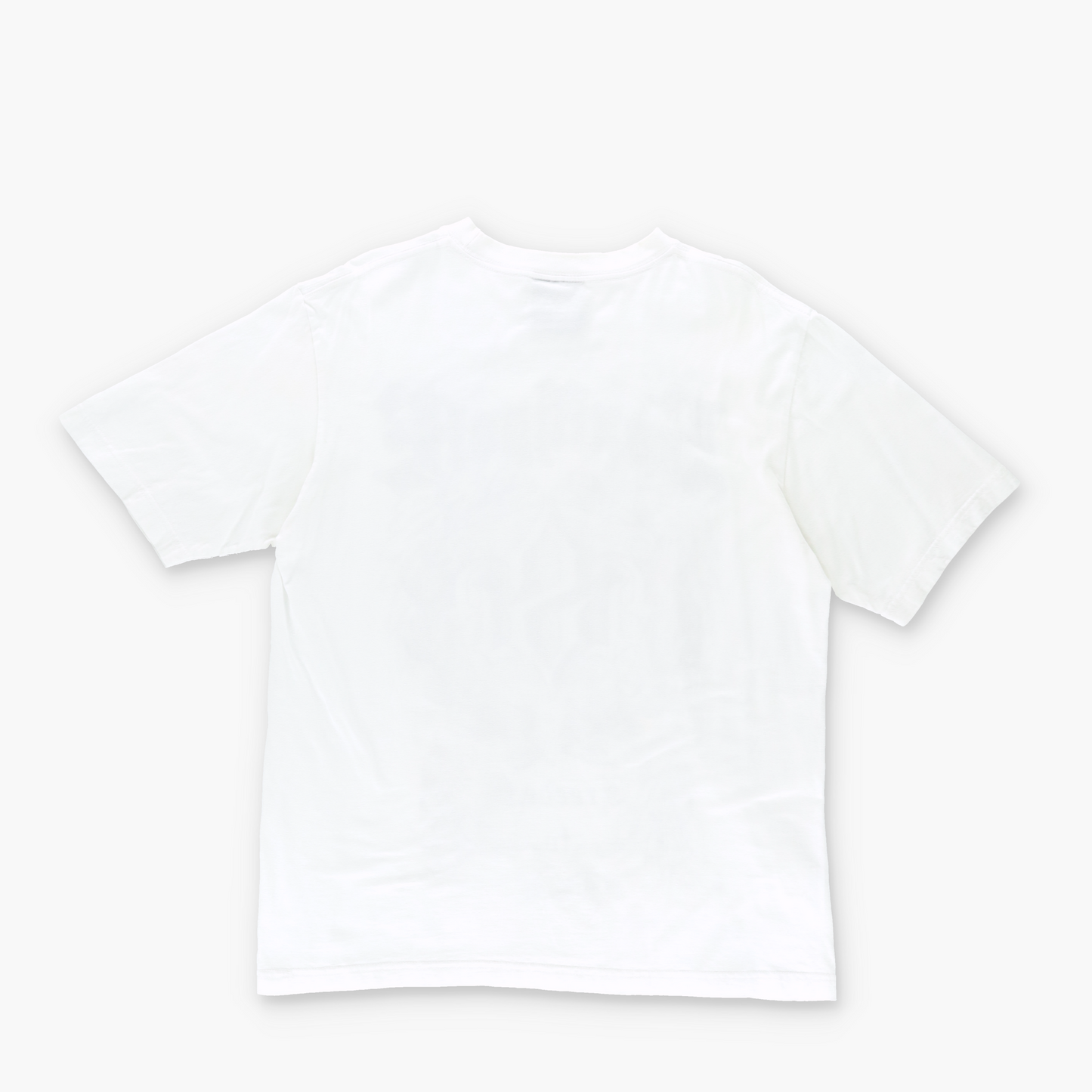SOUTHPOLE 'Freedom to Live' Y2K Punk Graphic T-Shirt (L-XL)
