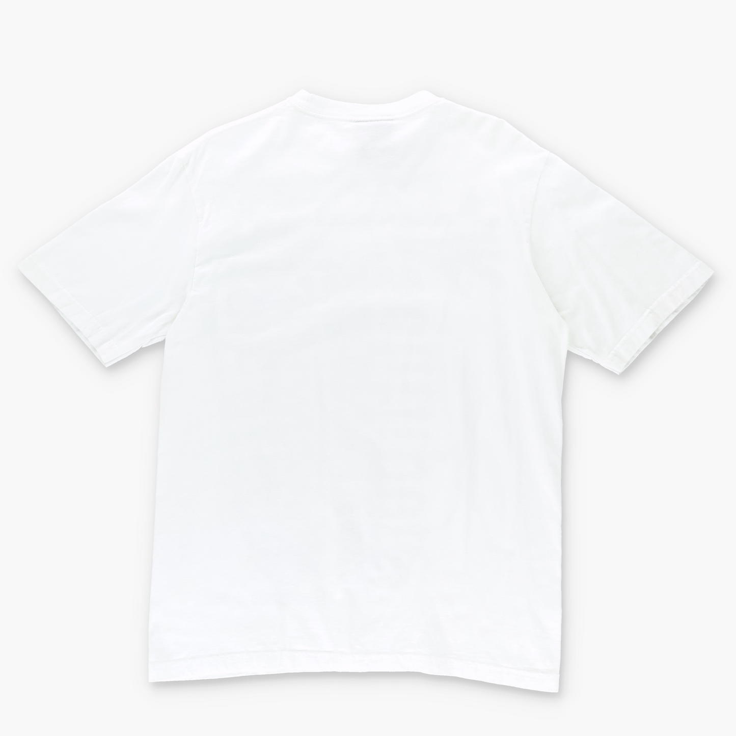 SOUTHPOLE 'The Utmost Supremacy' Punk Graphic Y2K T-Shirt (L)