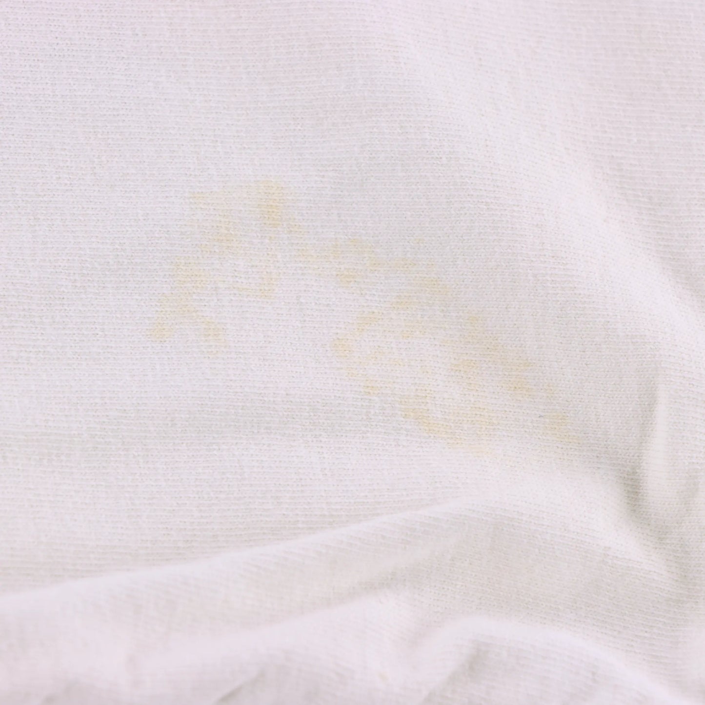 1994 Fox Photo by John Netherton Forest Animal USA Made Graphic Tee (L) Vintage Sole Melbourne