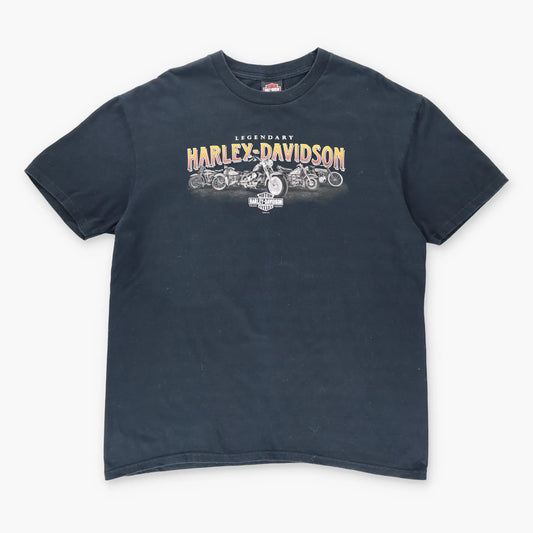 Vintage HARLEY DAVIDSON 'Second City' Retro Chicago Girl Motorcycle T-Shirt (L-XL) Vintage Sole Melbourne