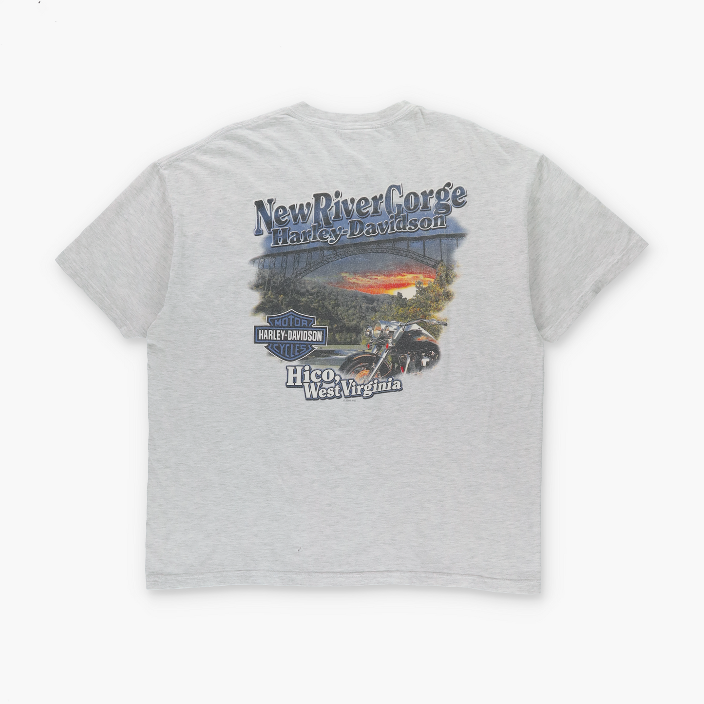 HARLEY DAVIDSON x HANES Cards & Dice "Skin Deep" West Virginia USA Made Light Grey T-Shirt (XL)