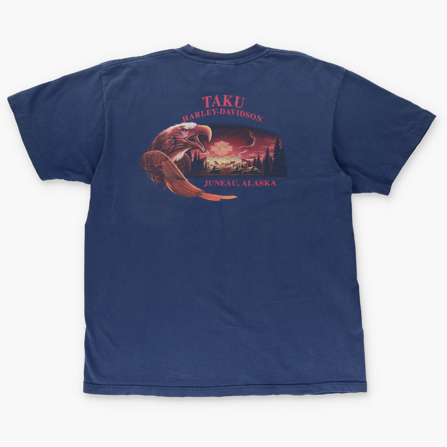 HARLEY DAVIDSON Y2K Flame Logo Alaska Navy Motorcycle Tee (XL)