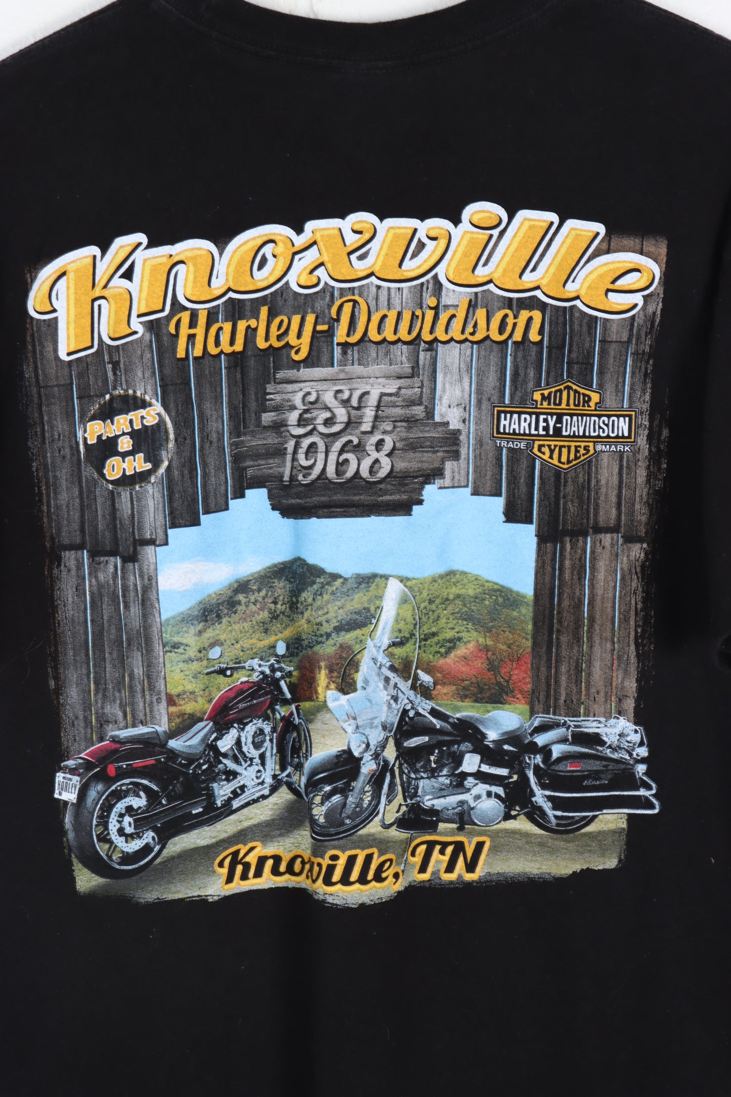 HARLEY DAVIDSON Iron Steed #1 Flame Front & Back Tee (L)