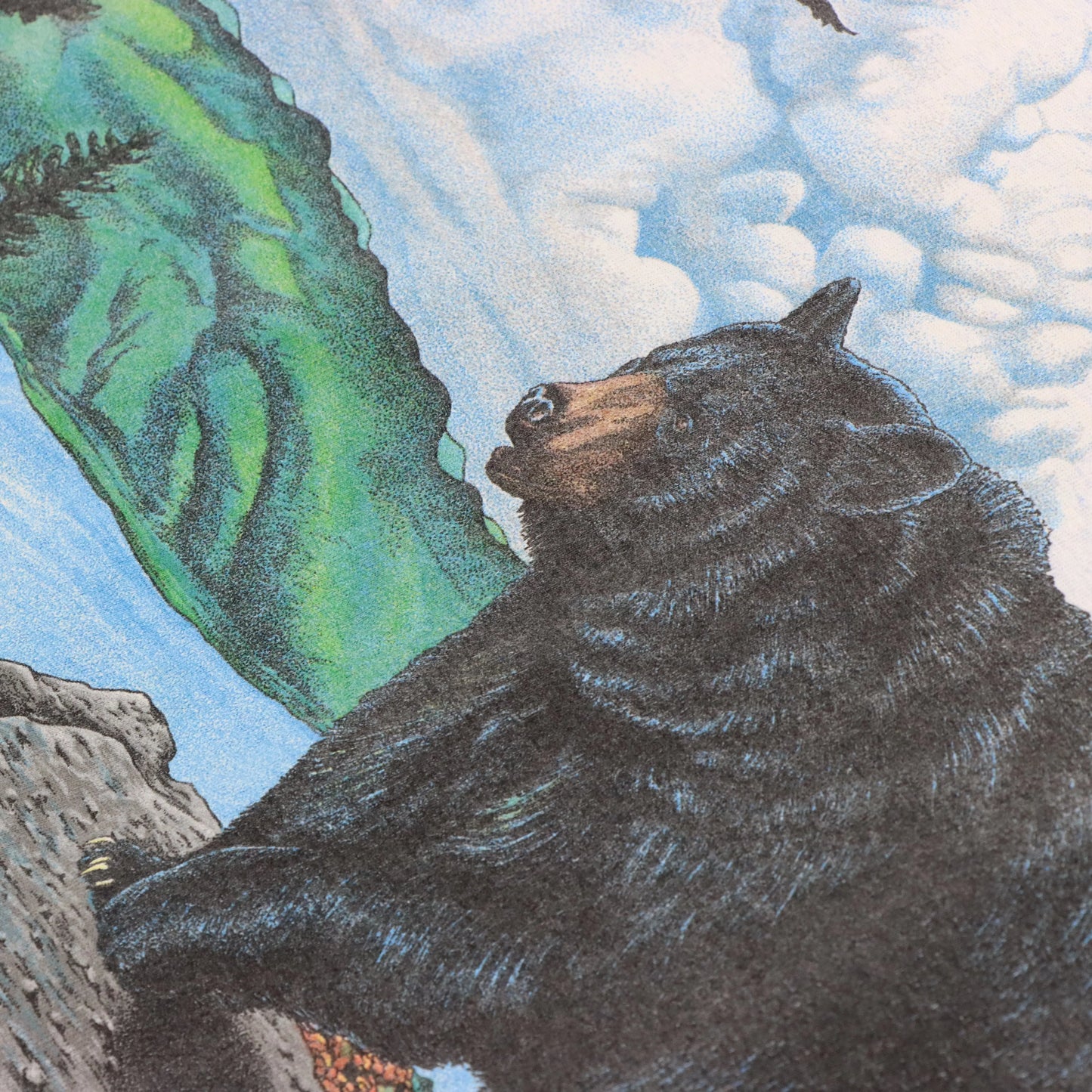 Vintage 1996 Black Bear Wildlife HABITAT Front Back USA Made Grey T-Shirt (M-L) Vintage Sole Melbourne