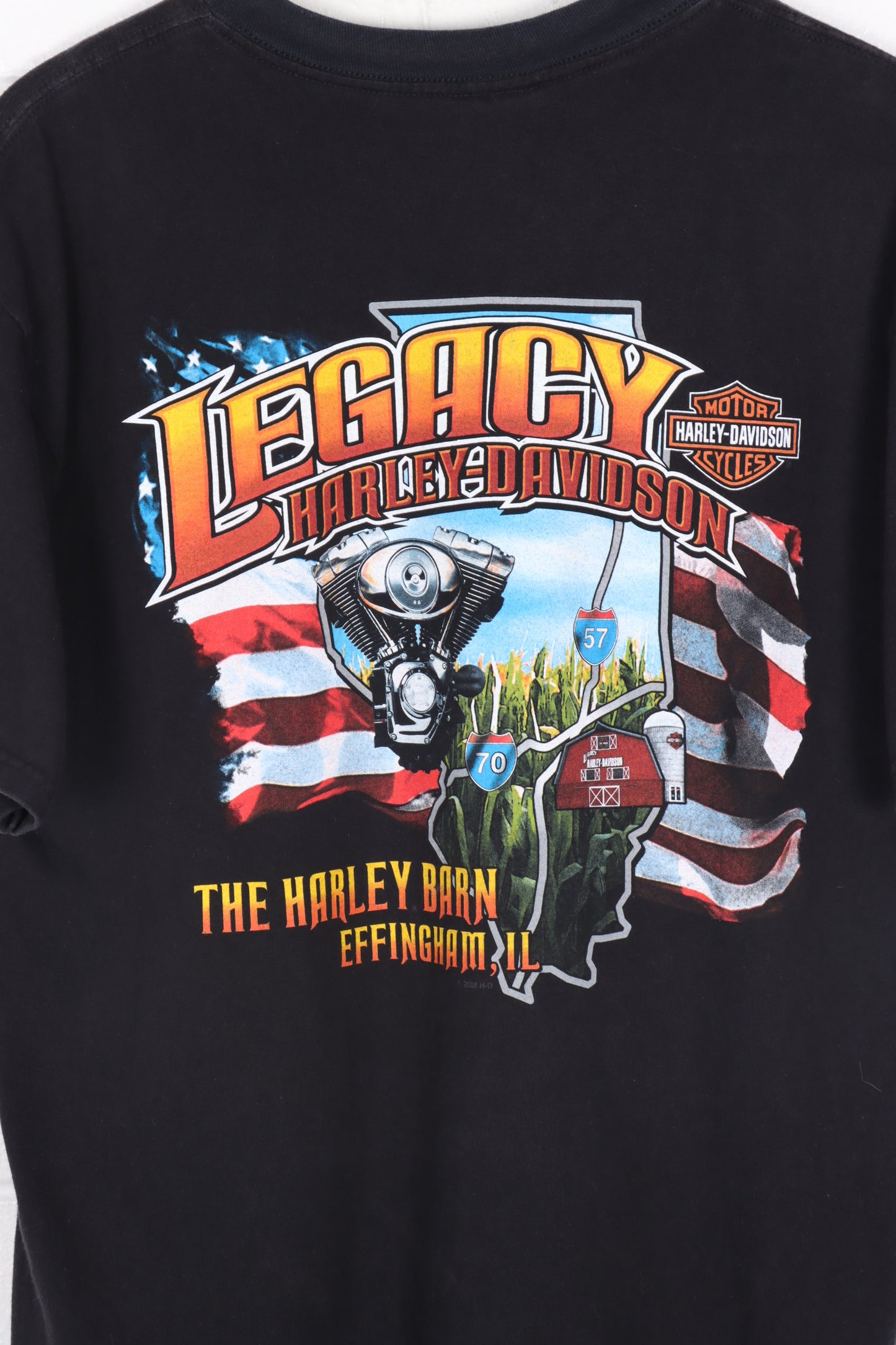 HARLEY DAVIDSON Blue Chrome Illinois Destination Tee USA Made (S-M)