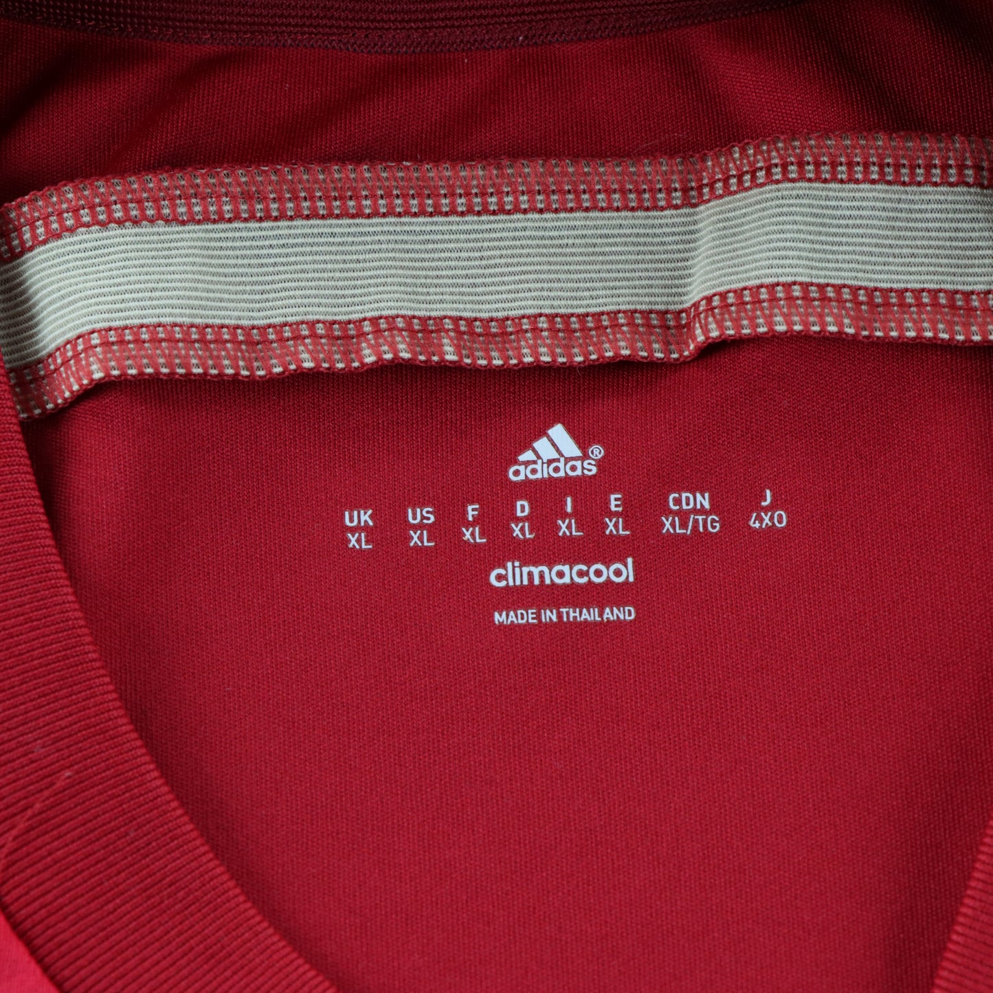 ADIDAS World Cup 2010 Champions Spain Player Football Soccer Jersey (L)