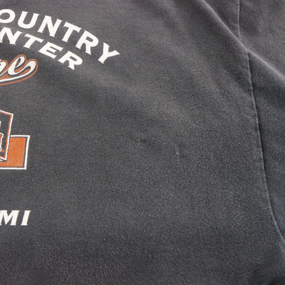 Vintage HARLEY DAVIDSON "Passion Freedom Tradition" Cement City Michigan Faded Tee (L) ***COCO Vintage Sole Melbourne