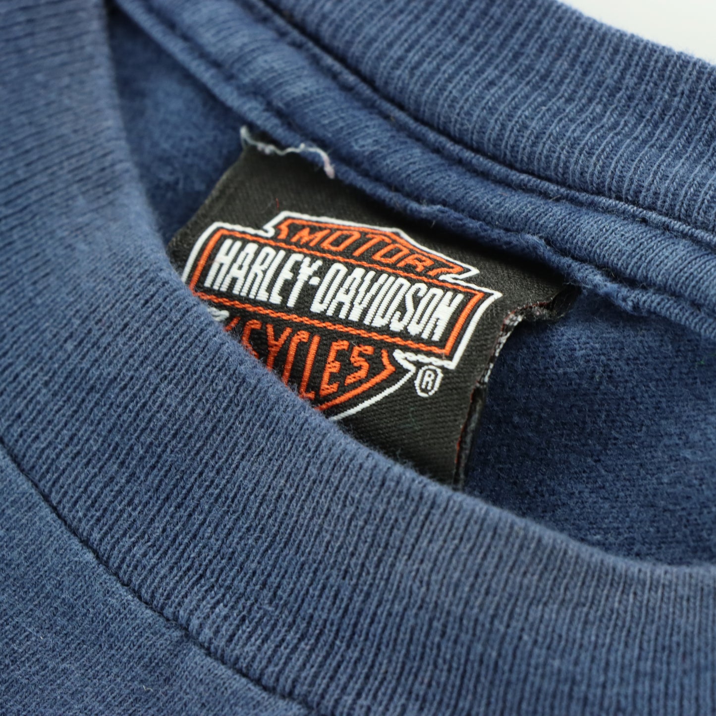 HARLEY DAVIDSON Y2K Flame Logo Alaska Navy Motorcycle Tee (XL)