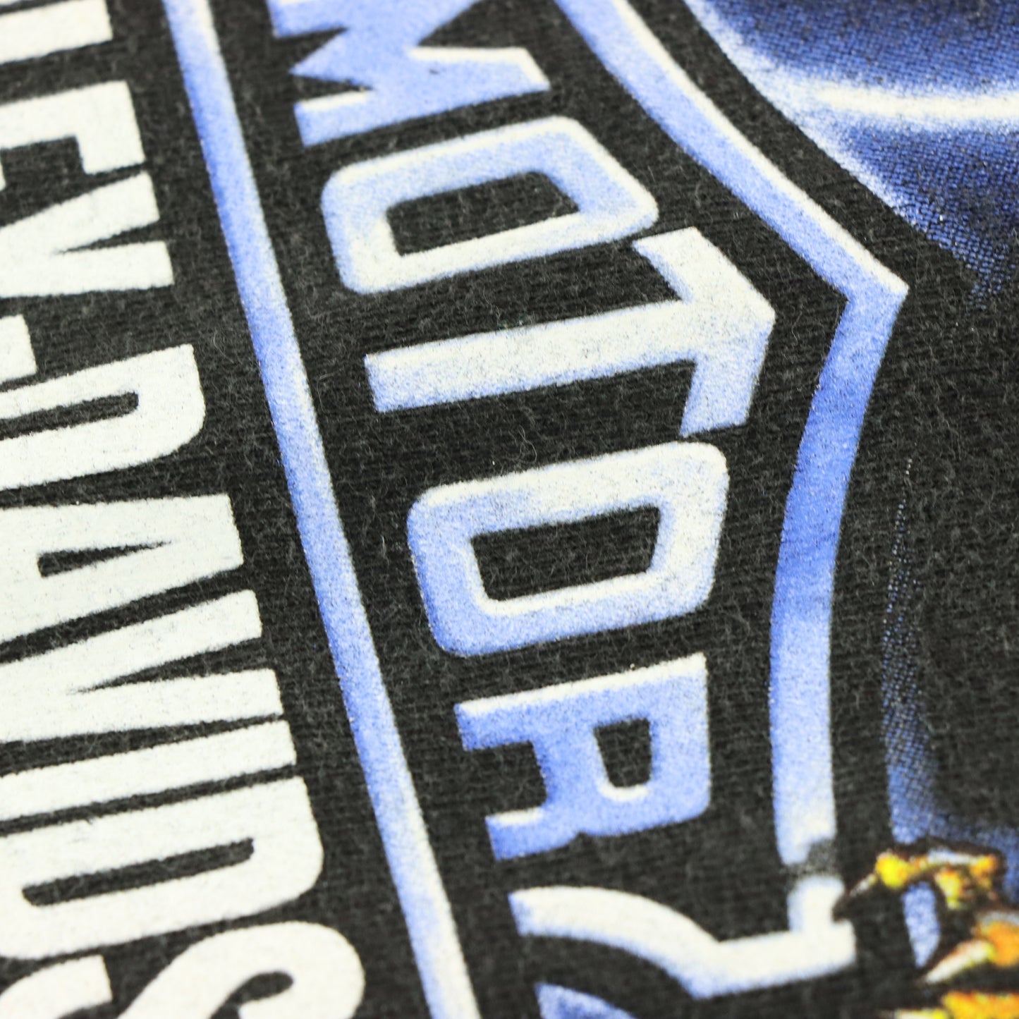 HARLEY DAVIDSON Daytona Eagle Lightning Motorcycle Tee (L)