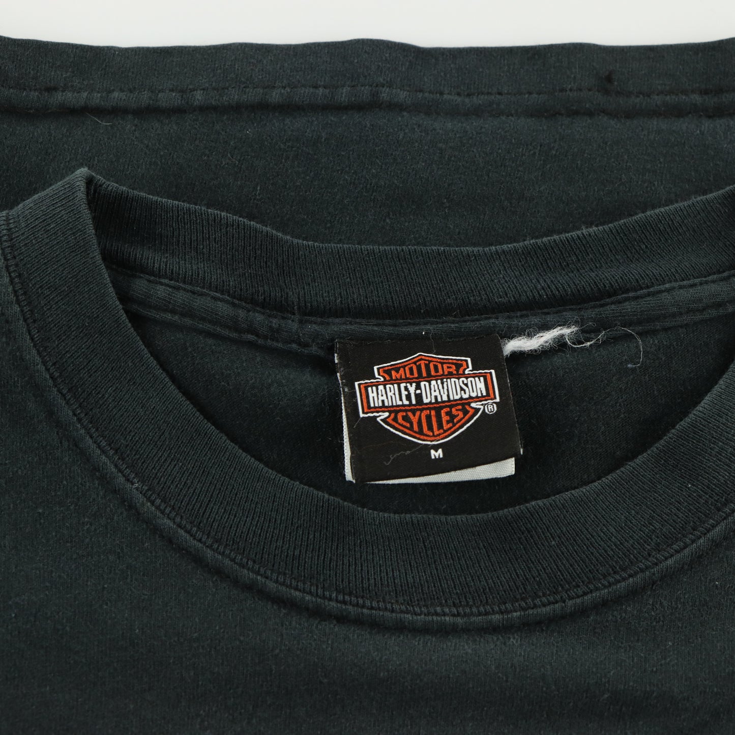 HARLEY DAVIDSON Skull Chain Graphic Cartersville Long Sleeve T-Shirt (S-M)