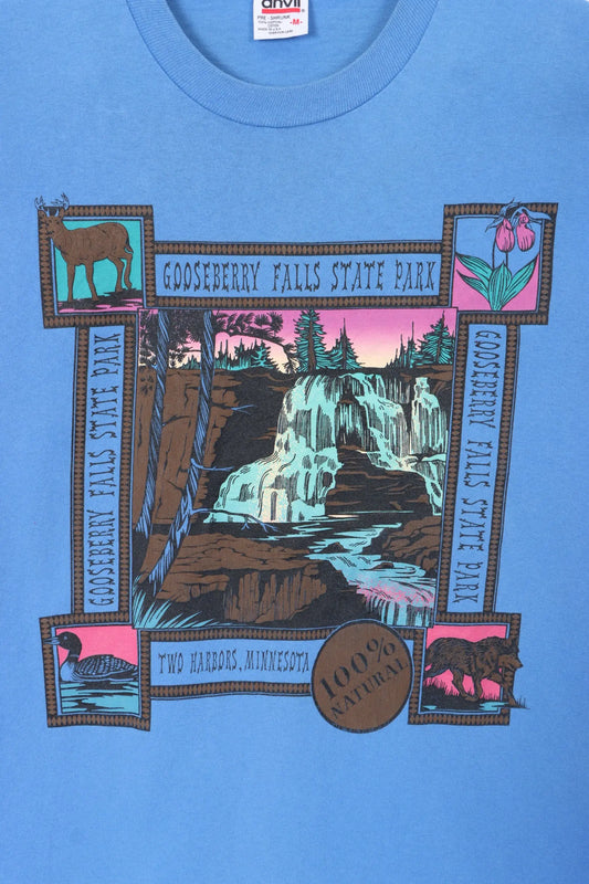 Gooseberry Falls State Park Single Stitch T-Shirt USA Made (M) Vintage Sole Melbourne
