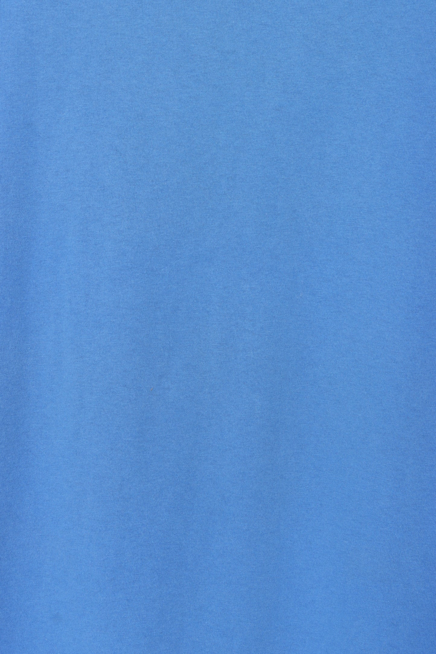 Gooseberry Falls State Park Single Stitch T-Shirt USA Made (M)