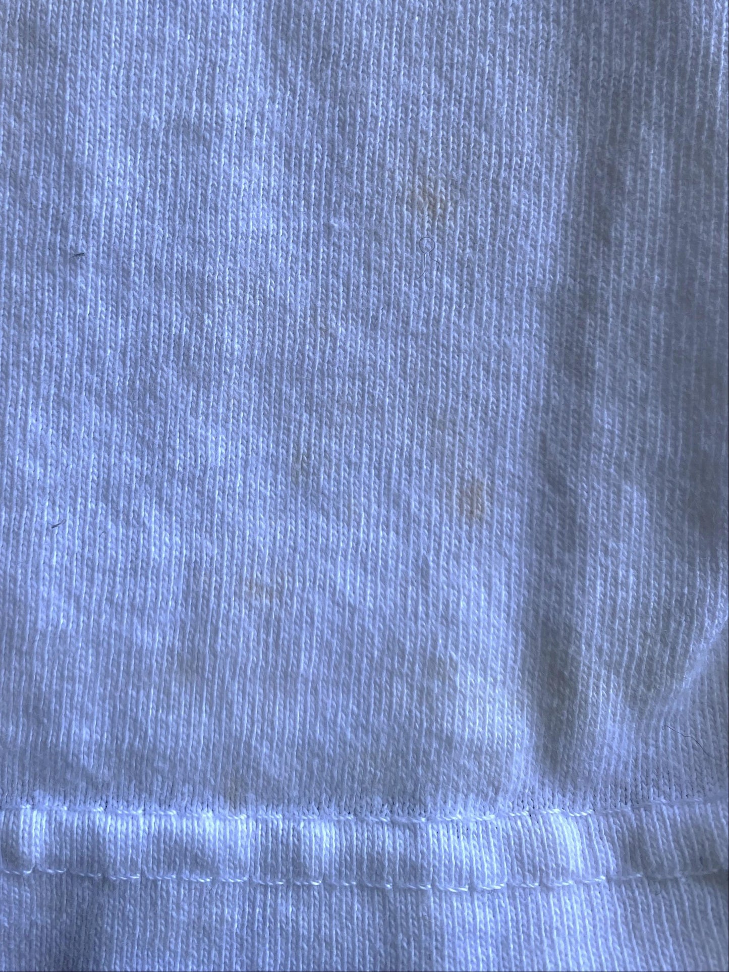 QUIKSILVER Speed Strip Blue Logo Boardriding Company White Tee (L)