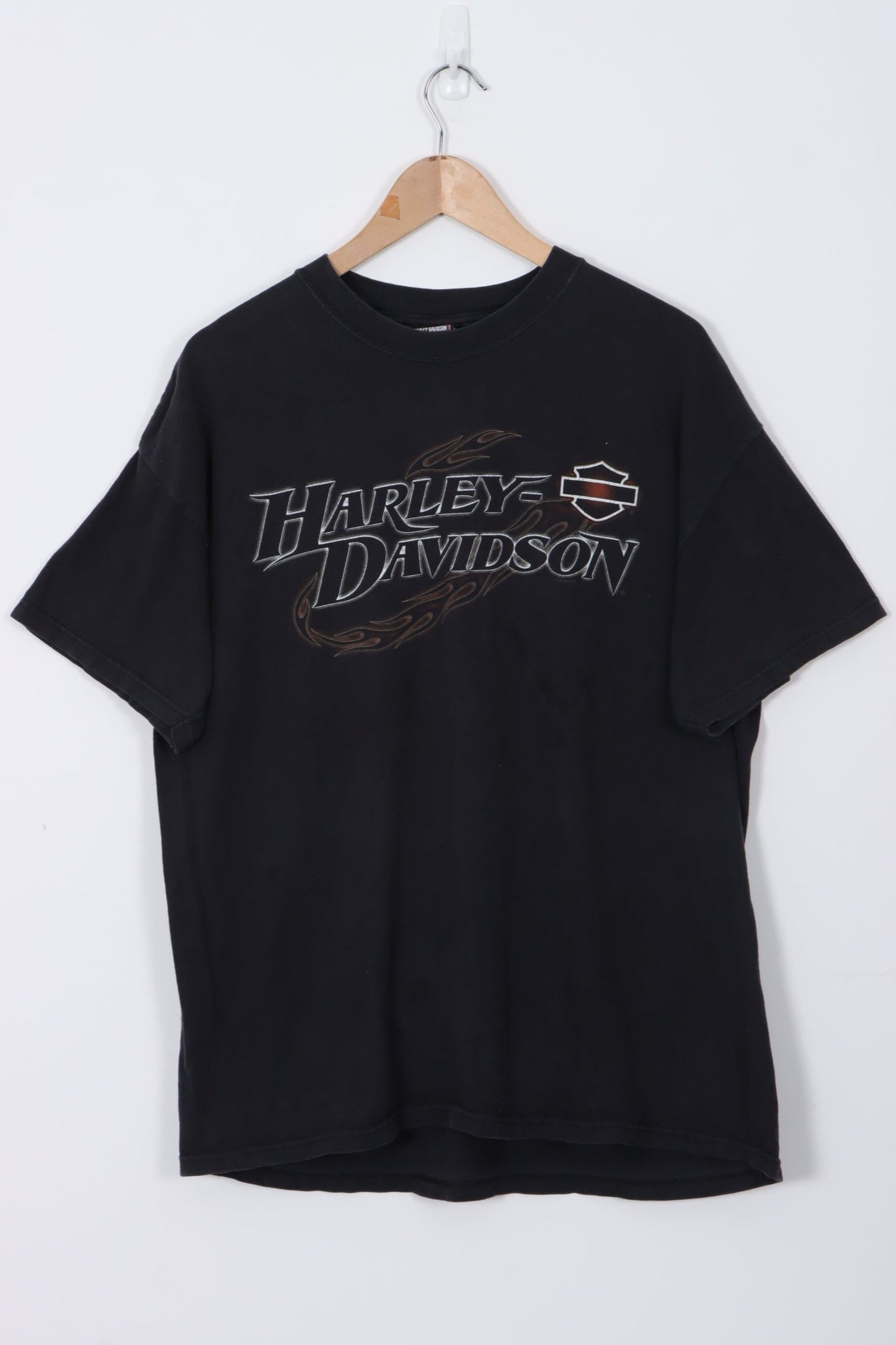 HARLEY DAVIDSON Back Mountain Graphic California Tee (L-XL)