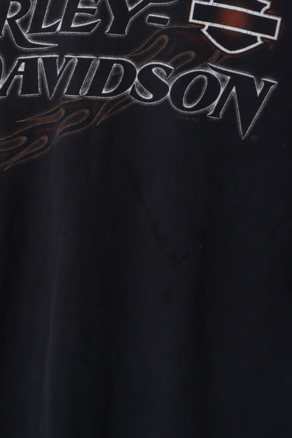 HARLEY DAVIDSON Back Mountain Graphic California Tee (L-XL)