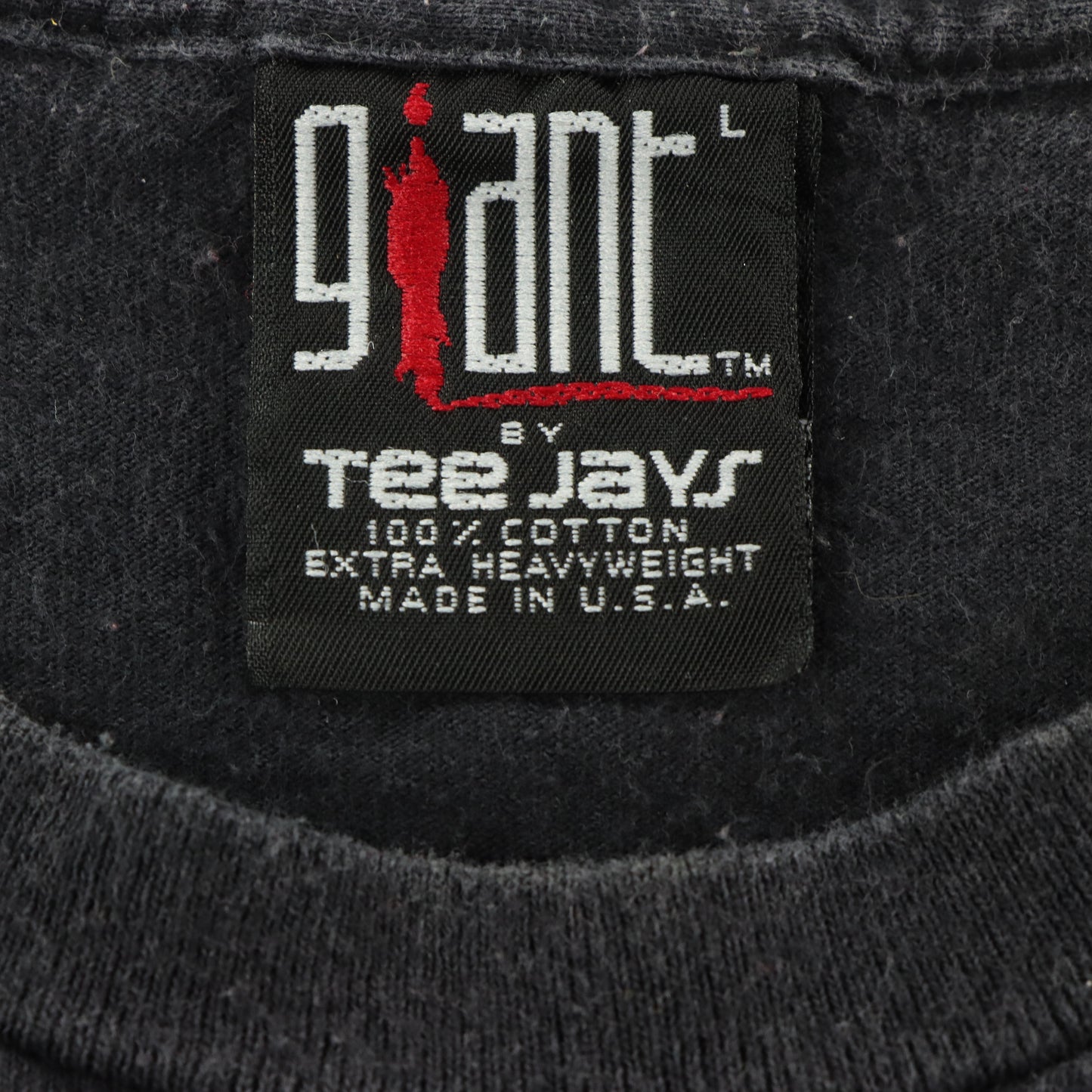 Vintage Eagles 'Hell Freezes Over' World Tour 1995 Single Stitch Band Tee USA Made (M-L)