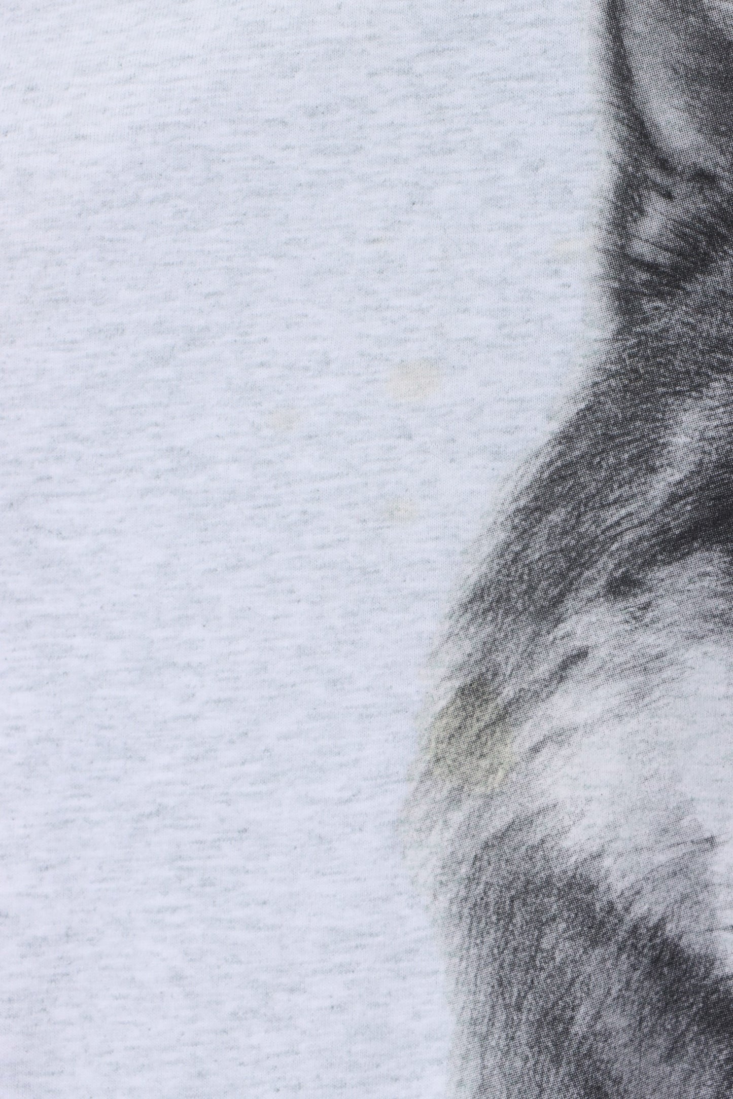 Minnesota 2000 Wolf Single Stitch T-Short USA Made (XL)