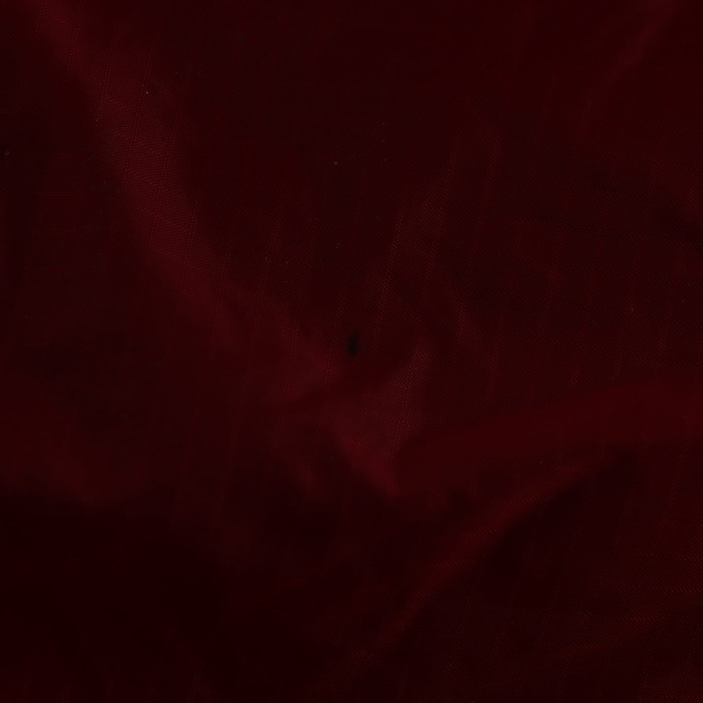 PATAGONIA Zip Up Red & Blue Lightweight Windbreaker Jacket (L)