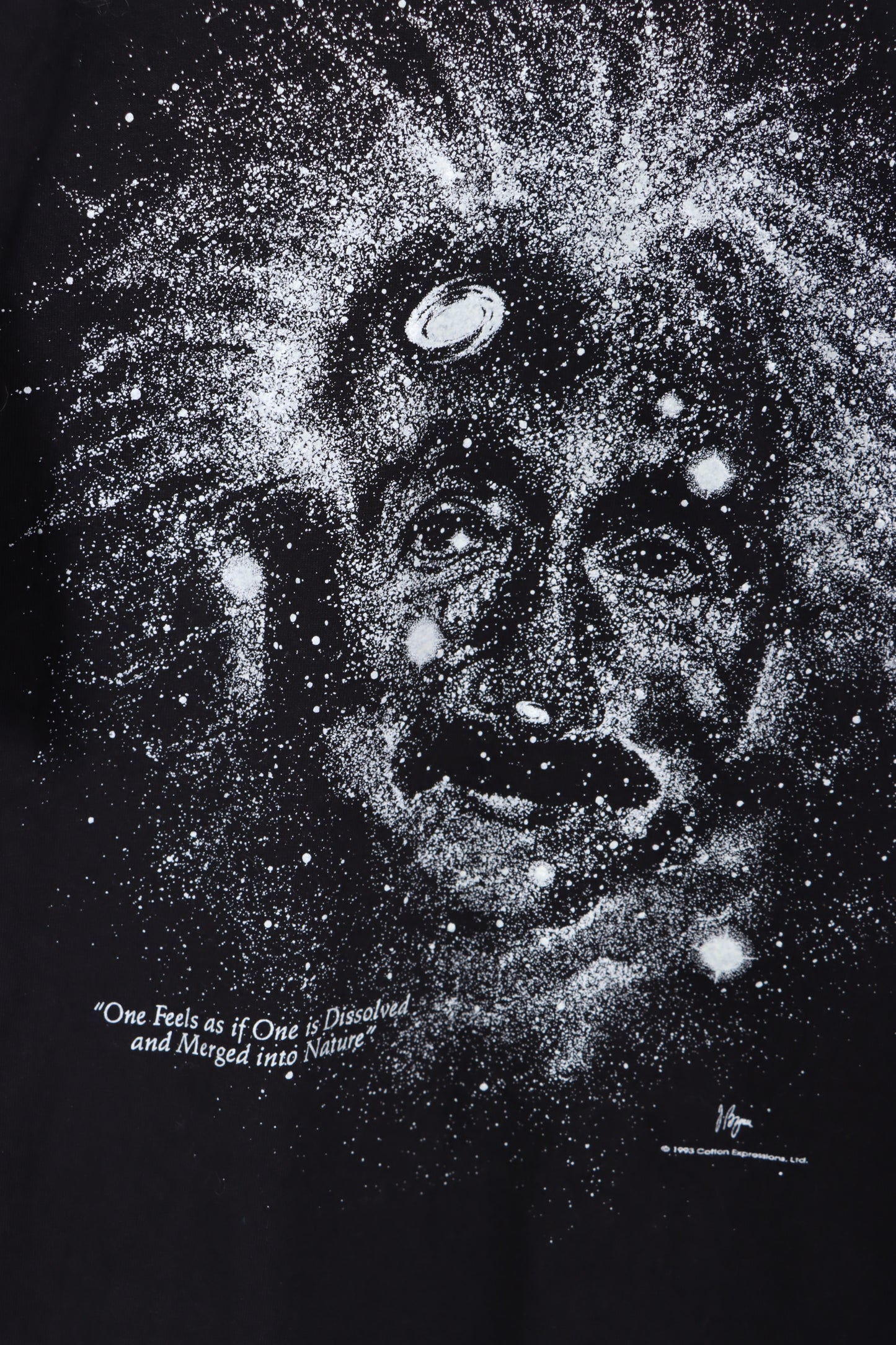 1993 Albert Einstein 'Merged into Nature' Black USA Made T-Shirt (L)