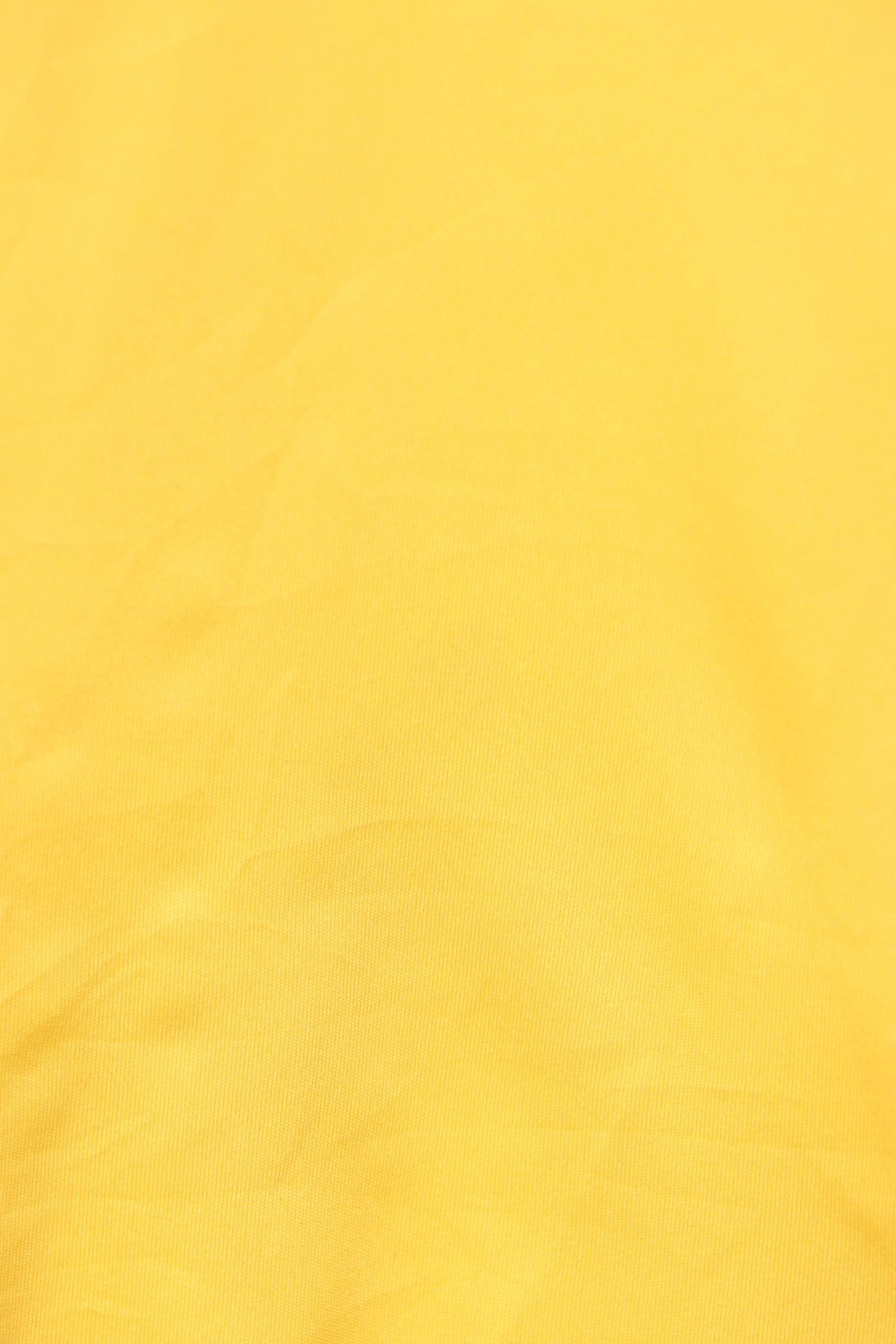 Carhart painters sales pants