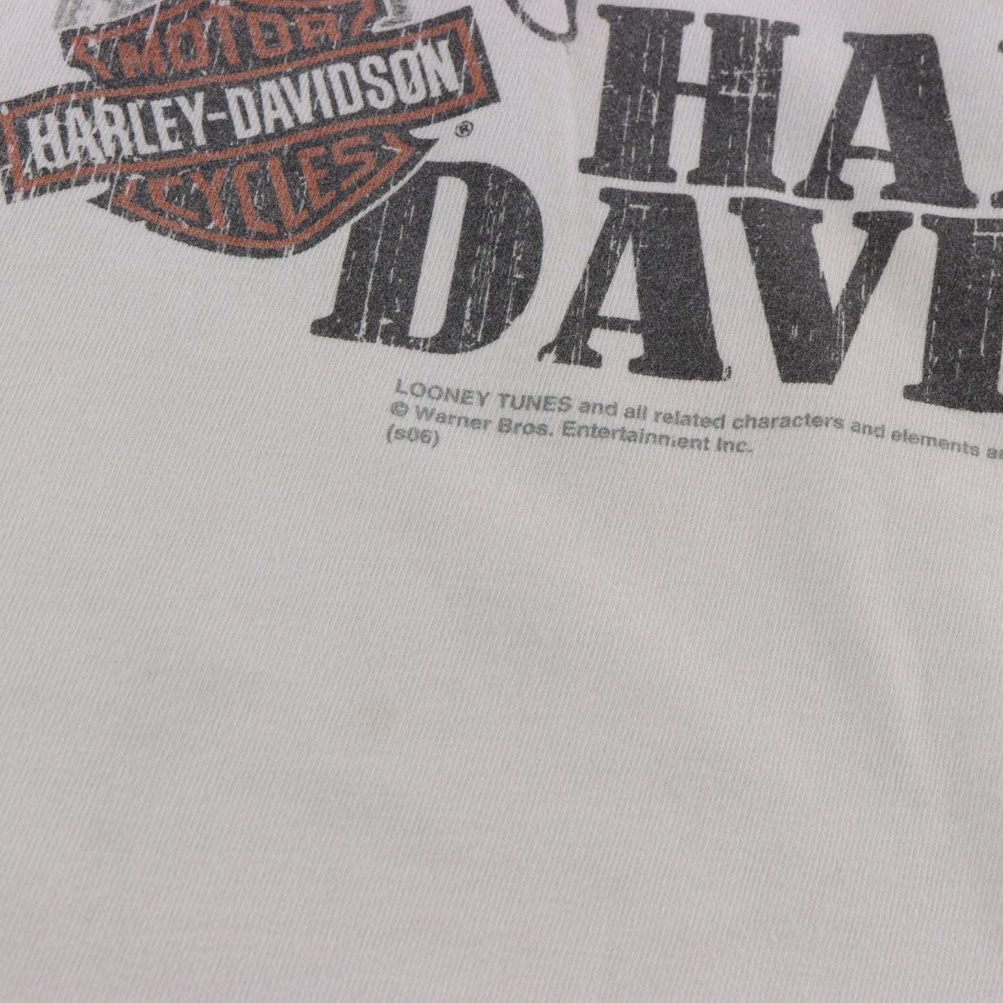 HARLEY DAVIDSON x LOONEY TUNES Taz & Grand Canyon Double Sided USA Made Tee (M-L) ***COCO Vintage Sole Melbourne