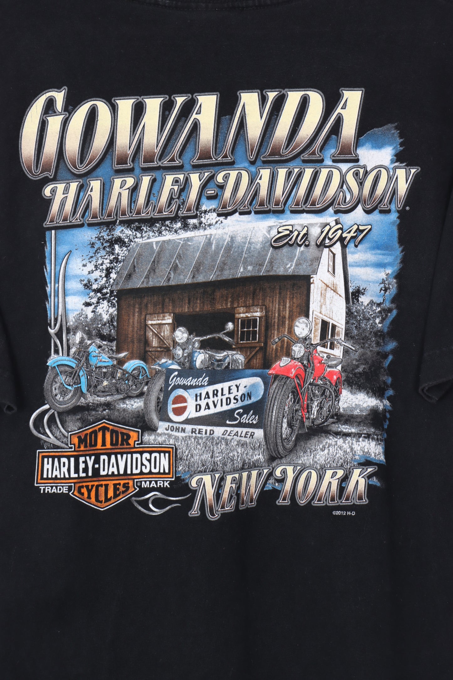 HARLEY DAVIDSON Gowanda New York Flag & Engine Graphic Tee (S-M)