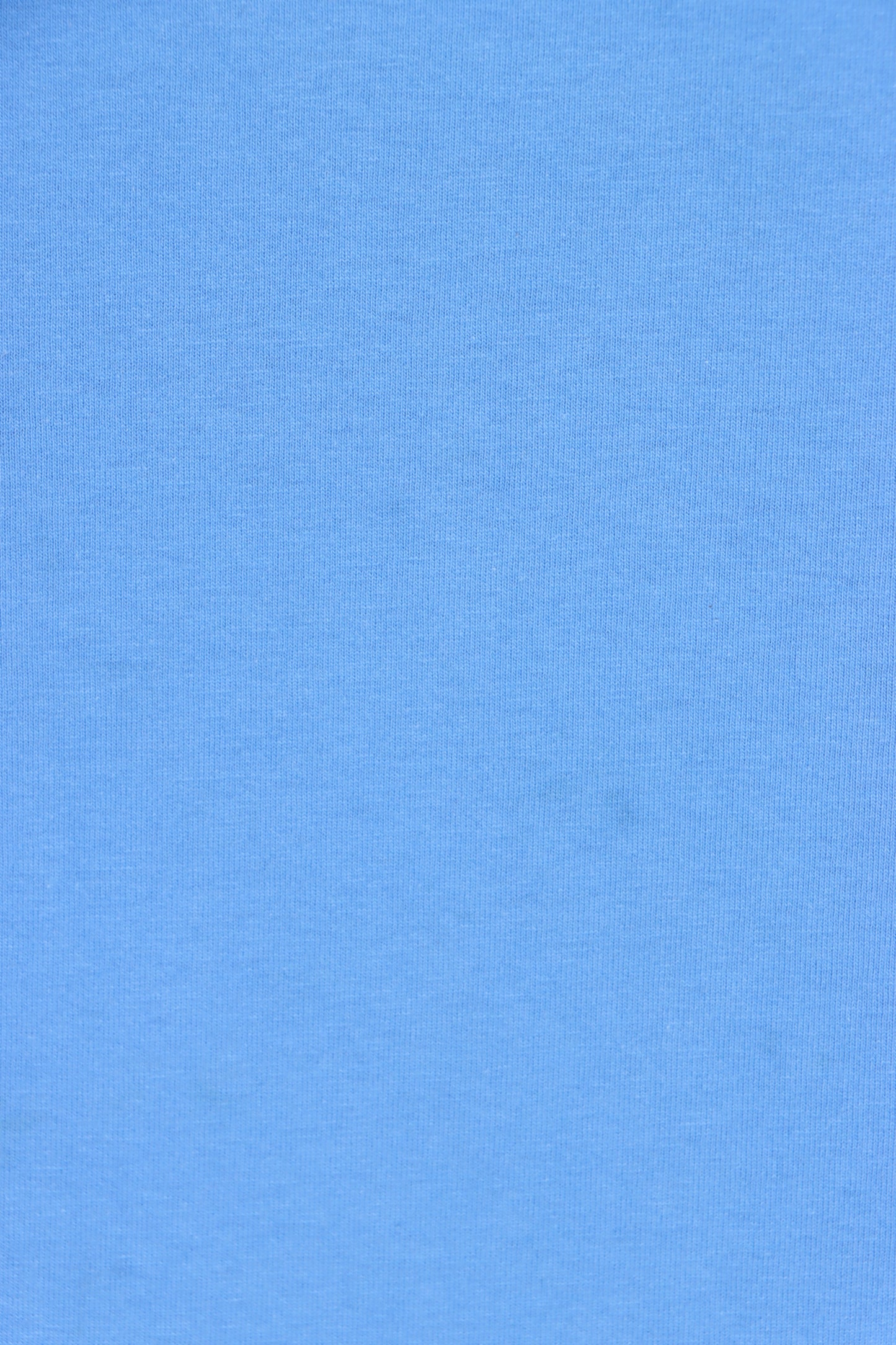 CARHARTT Big Logo Blue T-Shirt (L Tall )