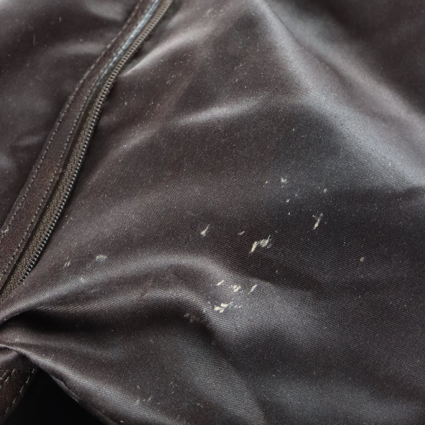 COACH 'Chelsea' 11008 Sage Green Python Embossed Leather Buckle Shoulder Bag