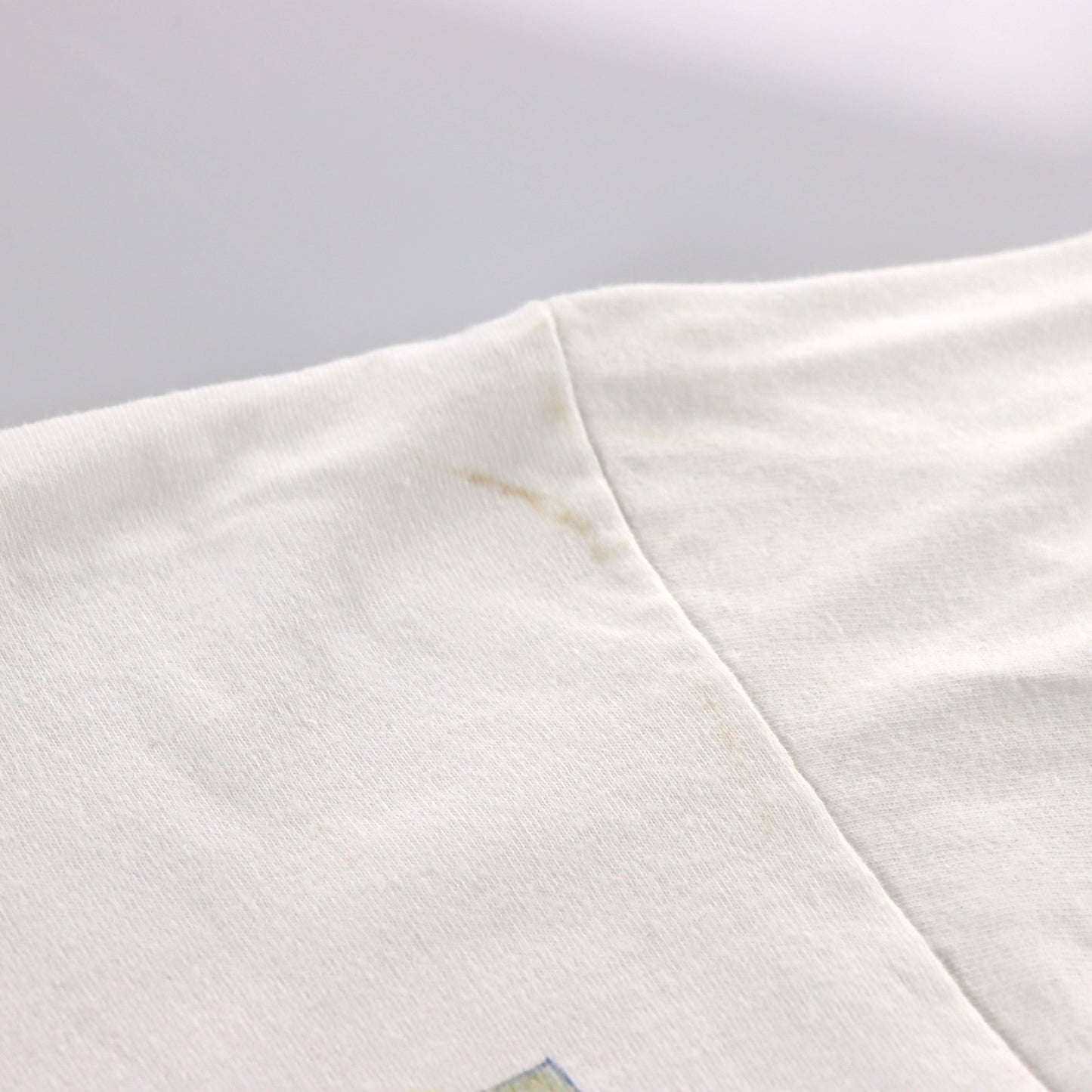Outer Banks Iguana Watercolour Graphic Tee (M-L)
