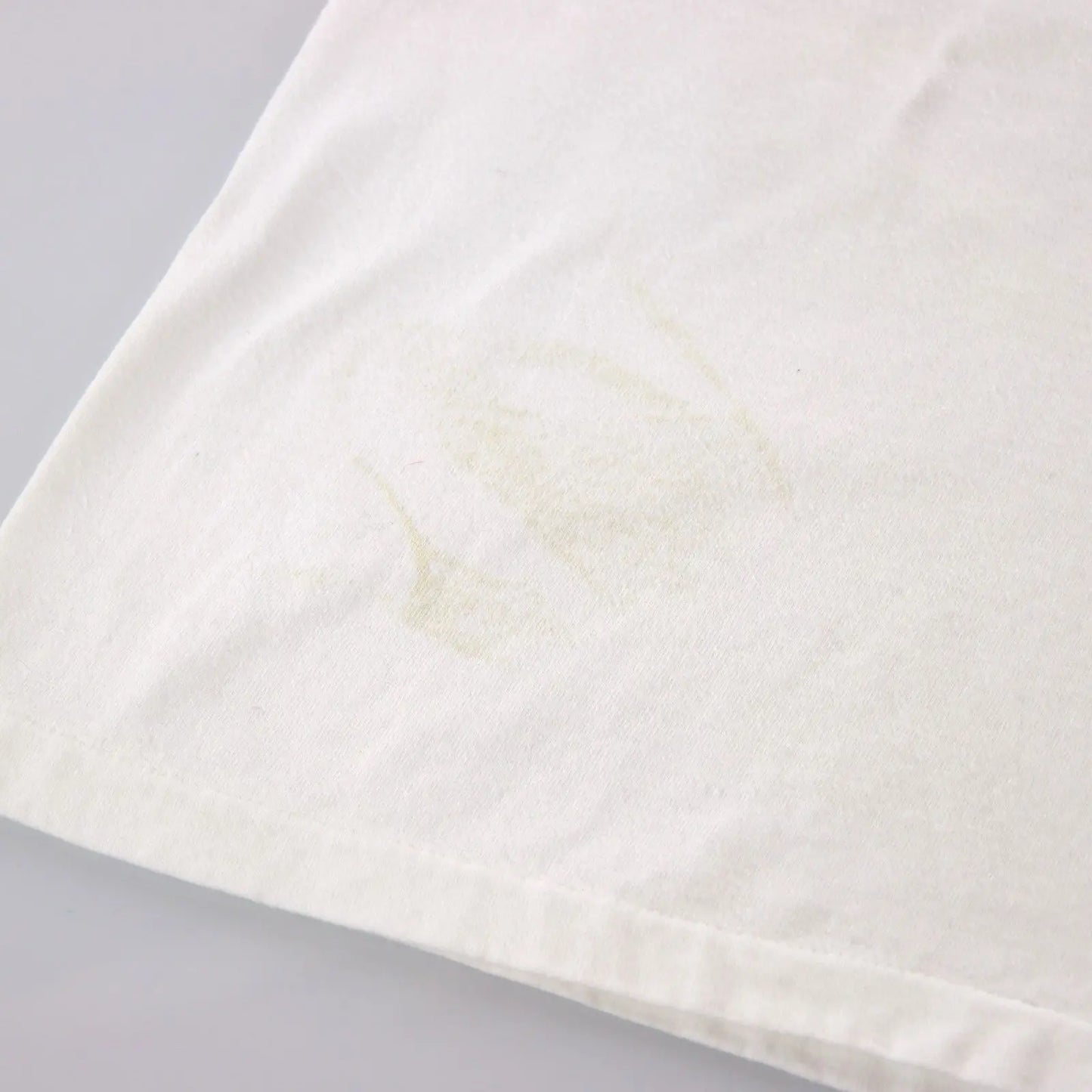 Outer Banks Iguana Watercolour Graphic Tee (M-L) Vintage Sole Melbourne