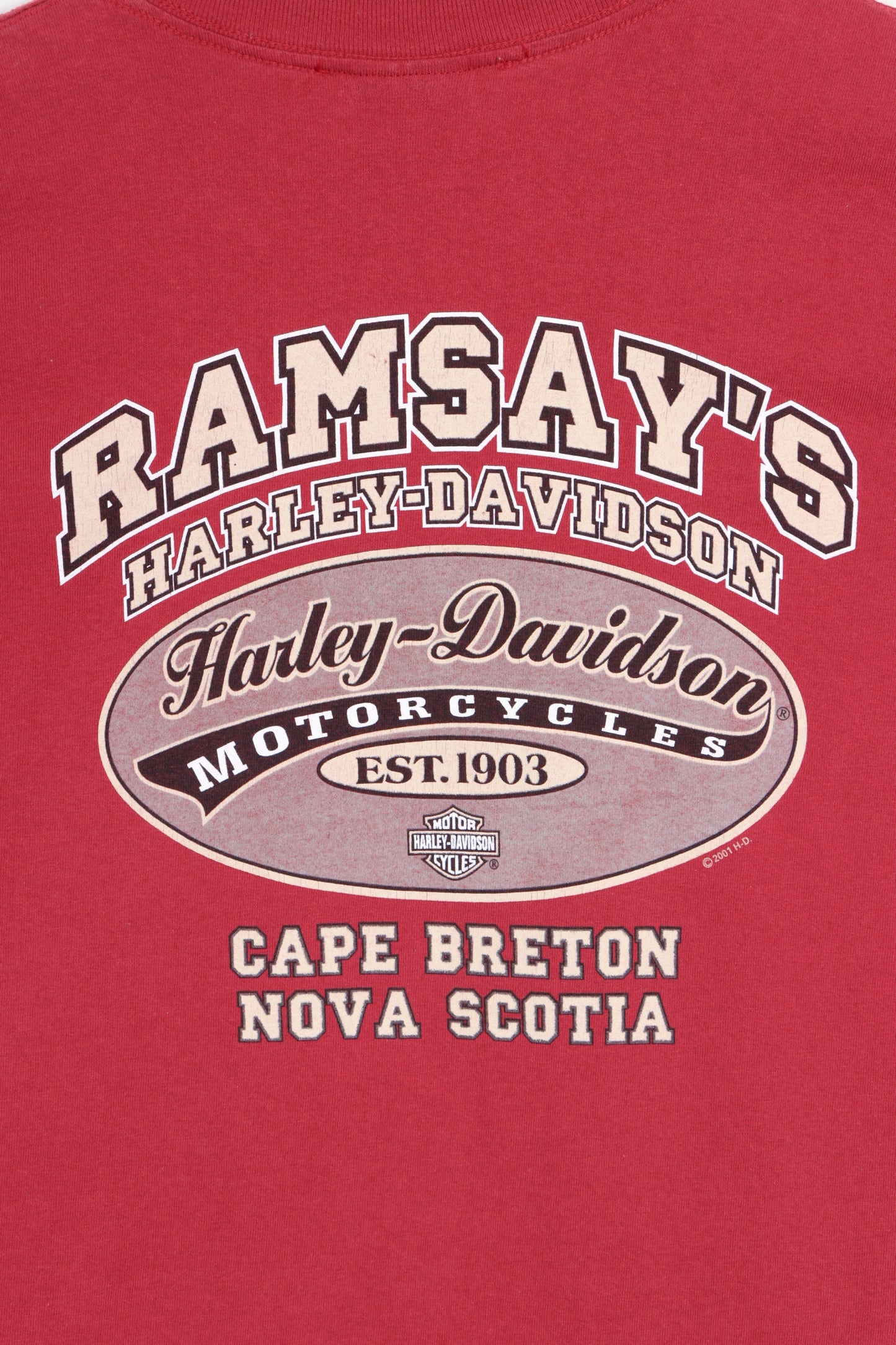 HARLEY DAVIDSON Ramsay's 100 Years T-Shirt Canada Made (M-L) - Vintage Sole Melbourne