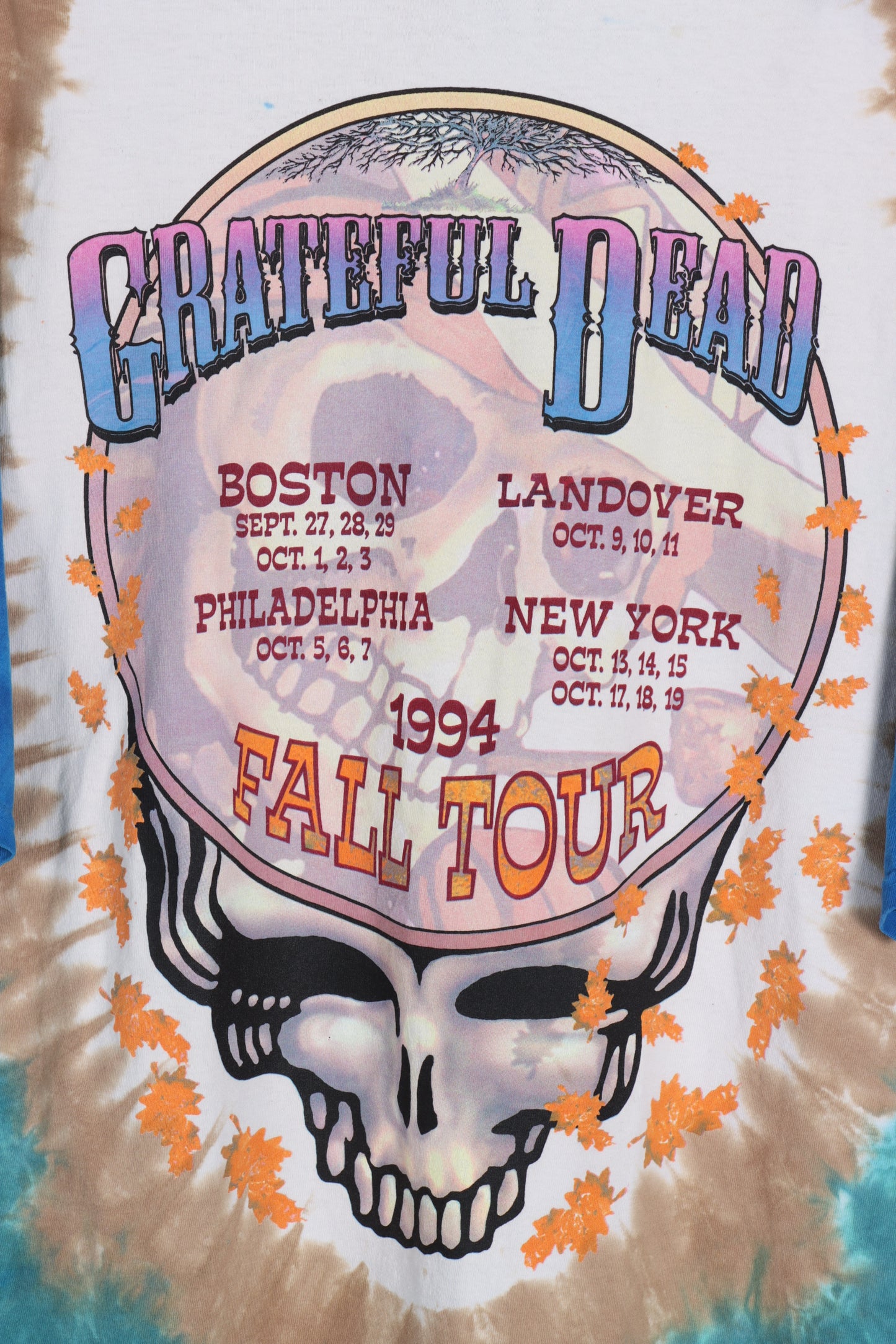 LIQUID BLUE Grateful Dead Skeleton Tie-Dye Fall Tour Tee (XL) - Vintage Sole Melbourne