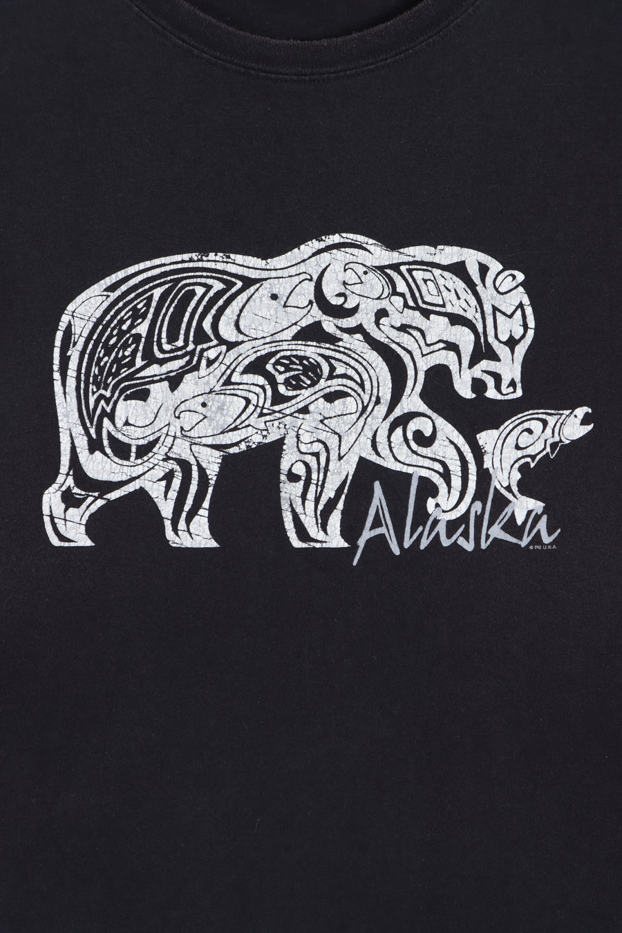 Alaska Inside Passage Bear & Fish T-Shirt (2XL) - Vintage Sole Melbourne