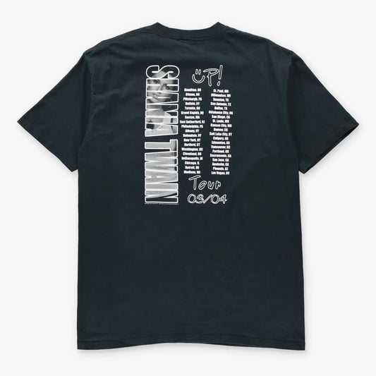 Vintage Shania Twain 2003/2004 Up! Tour Black Double Sided T-Shirt (L TALL)