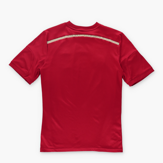 ADIDAS World Cup 2010 Champions Spain Player Soccer Football Jersey (XS)