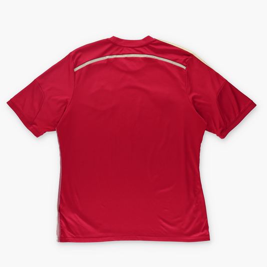 ADIDAS World Cup 2010 Champions Spain Player Football Soccer Jersey (L)
