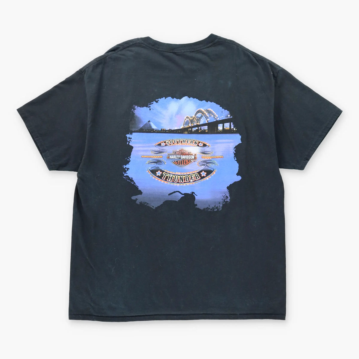 Vintage HARLEY DAVIDSON 'Southern Thunder' Skull Wing Motorcycle T-Shirt (L-XL)