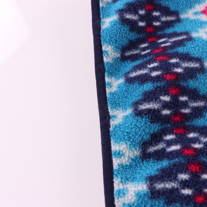 PATAGONIA Blue & Red 'Synchilla' Aztec Stripe 1/4 Snap Fleece Sweatshirt (XXS)