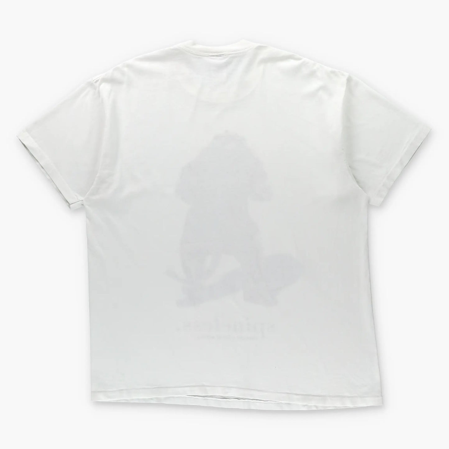 WARNER BROS Wizard Of Oz Cowardly Lion "Got A Lot Of Nerve" Single Stitch White T-Shirt USA Made (XL-XXL) Vintage Sole Melbourne