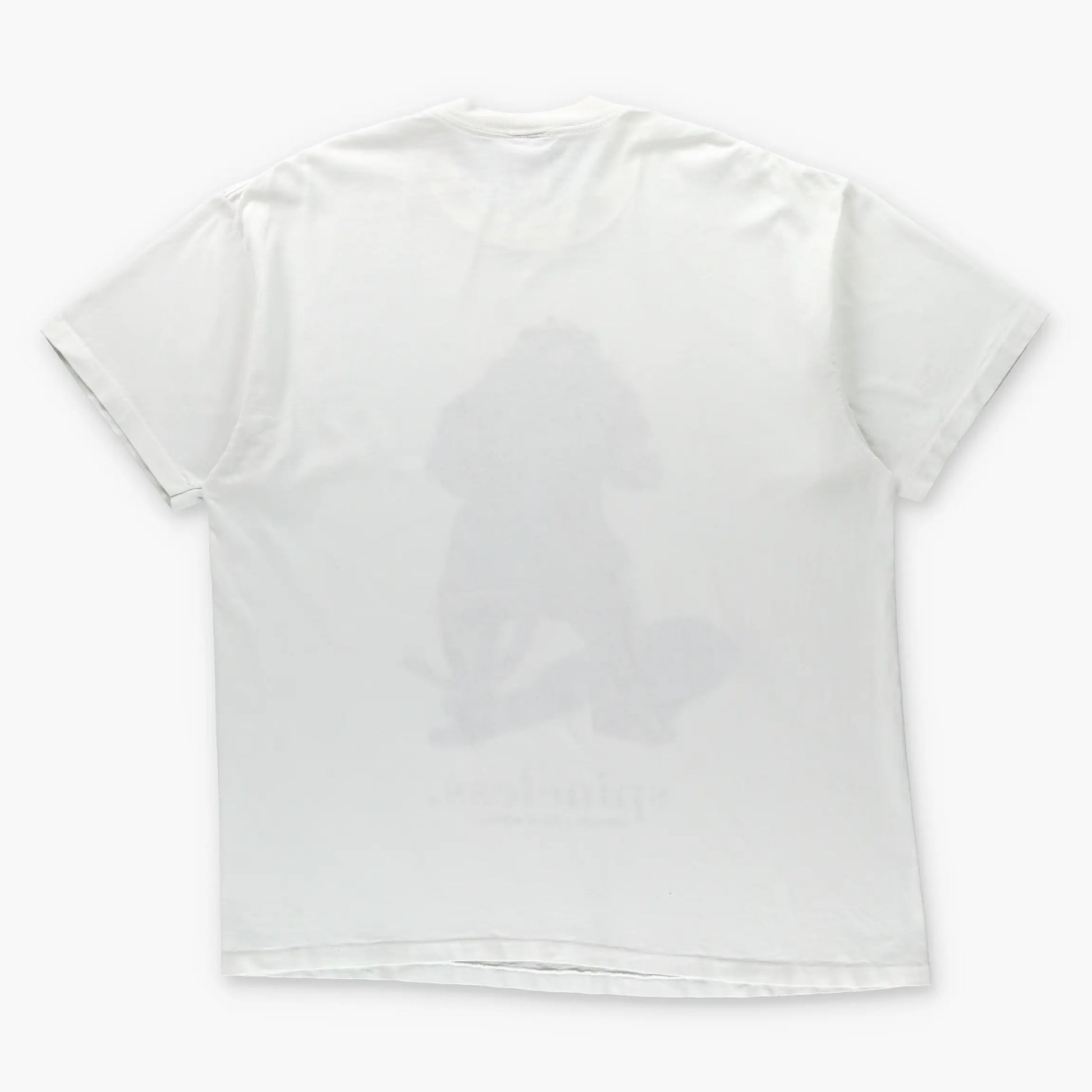 WARNER BROS Wizard Of Oz Cowardly Lion "Got A Lot Of Nerve" Single Stitch White T-Shirt USA Made (XL-XXL) Vintage Sole Melbourne