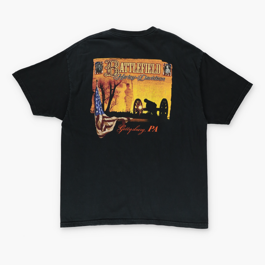 HARLEY DAVIDSON "Born to Roam" Wolf Flame Graphic Motorcycle Tee (XL-XXL)