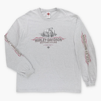 HARLEY DAVIDSON "Legendary Motorcycles" Adams Center New York Grey Long Sleeve Tee USA Made (XXL TALL)