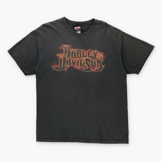 HARLEY DAVIDSON Rust Metal Logo 'Starved Rock' USA Made T-Shirt (M-L) - Vintage Sole Melbourne